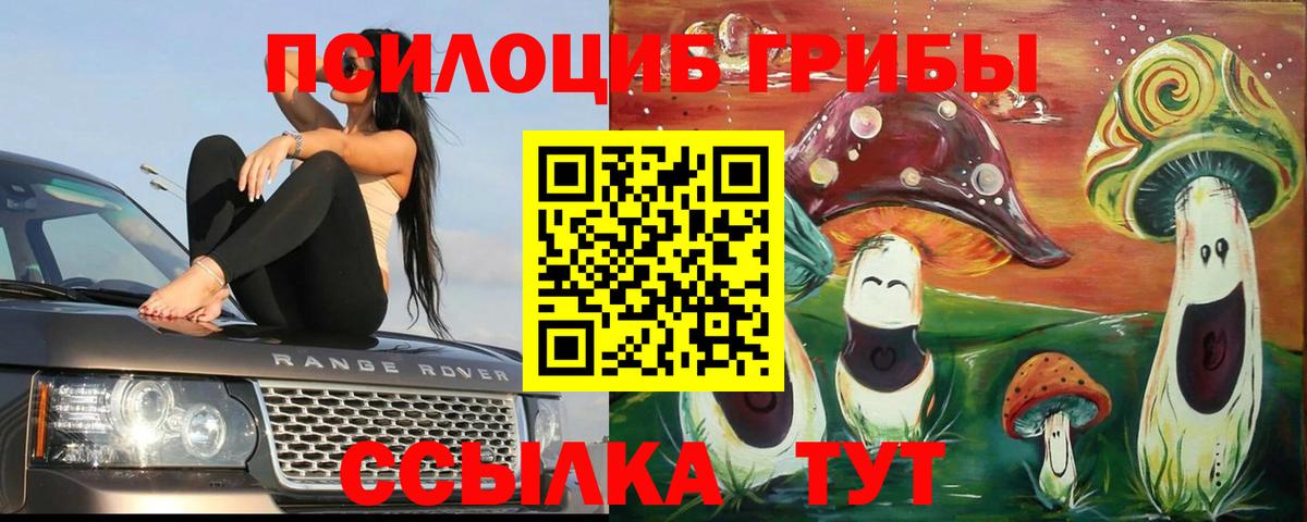Галлюциногенные грибы Psilocybine cubensis Донецк